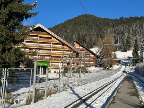 Central-Les Roches Grises- studio for 2 only 100m to ski train or 30m to ski bus